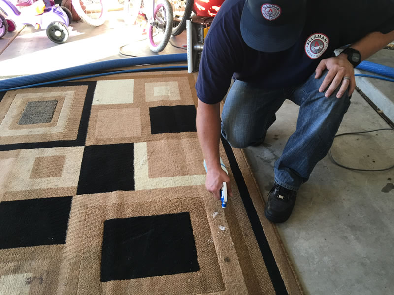 Area rug carpet cleaning