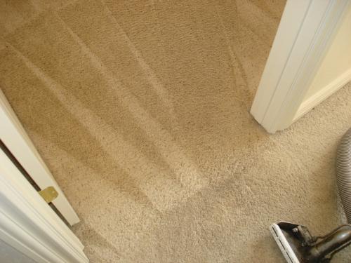 Carpet Cleaning Residue