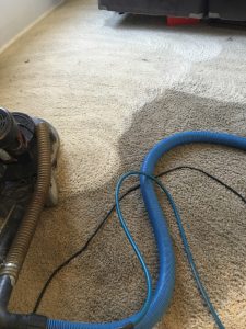 residue free carpet cleaning in litchfield park, avondale, goodyear, Estrealla and Verrado Arizona