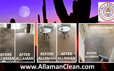 Residue Free Carpet Cleaning