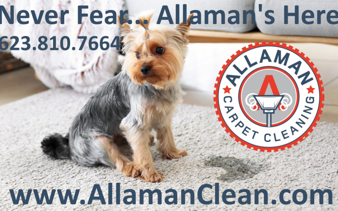 Litchfield Park Arizona Carpet Tile and Upholstery cleaning by