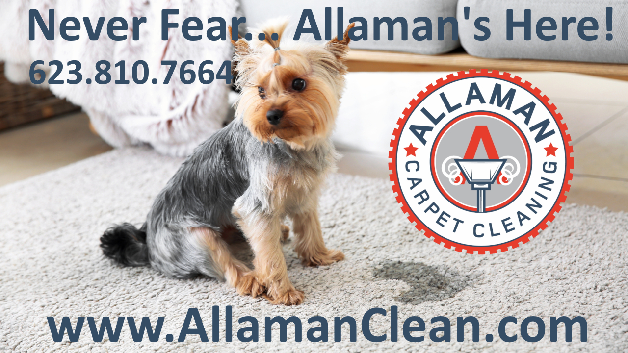 Litchfield Park Arizona Carpet  Tile and Upholstery cleaning by 