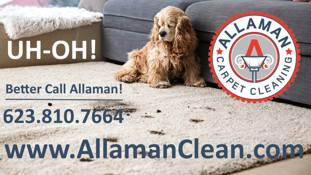 pet, stain, odor, removal, carpet, tile, grout, upholstery, cleaning, cleaner
