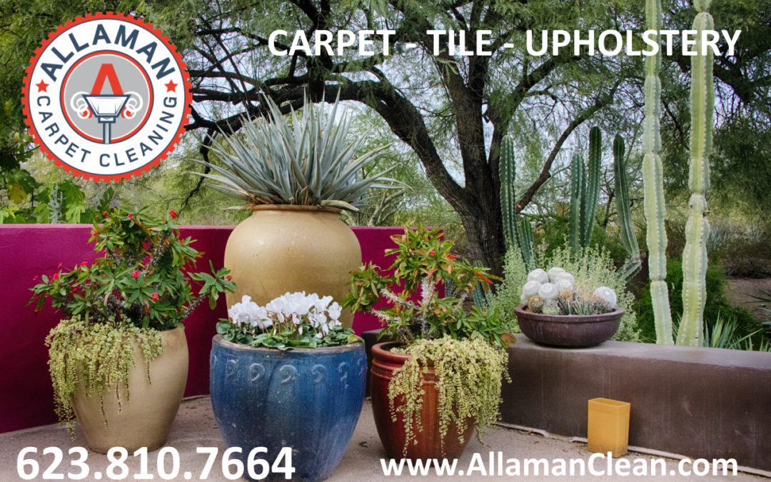 Springtime and spring flowers in Goodyear Arizona Spring Cleaning carpet, tile and upholstery
