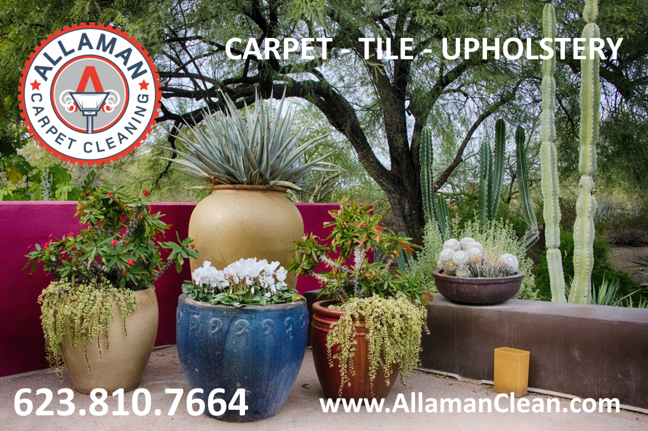 Springtime and spring flowers in Goodyear Arizona Spring Cleaning carpet, tile and upholstery