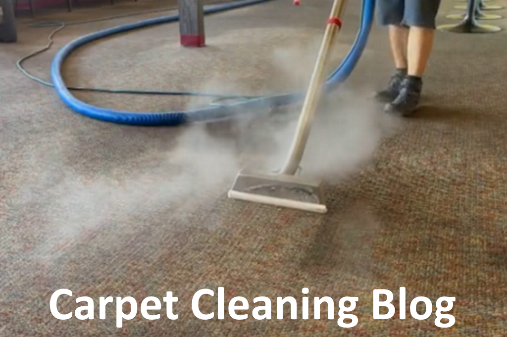 Litchfield Park carpet cleaner carpet cleaning blog image