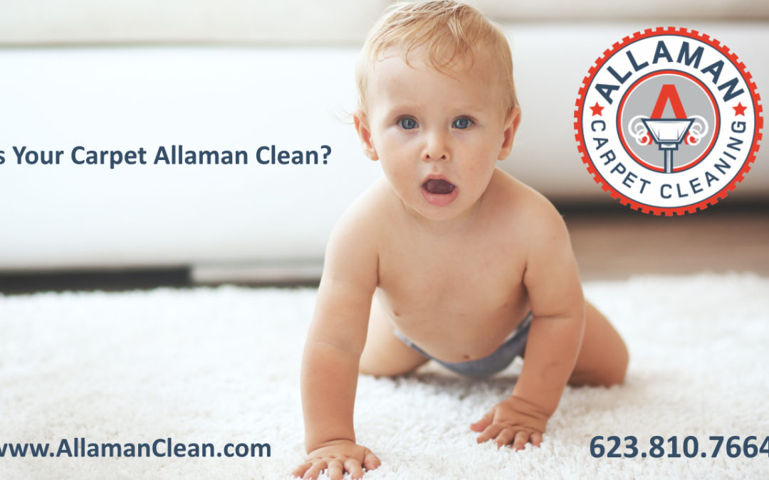 Say Goodbye to Dirt, Dust, Allergens and Stains