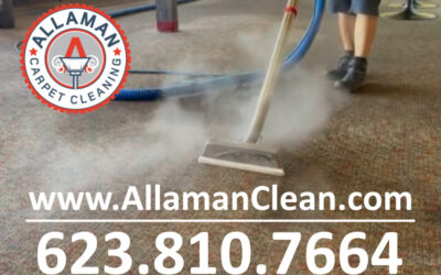 Who’s The BEST Carpet & Tile Cleaner in The Phoenix West Valley?