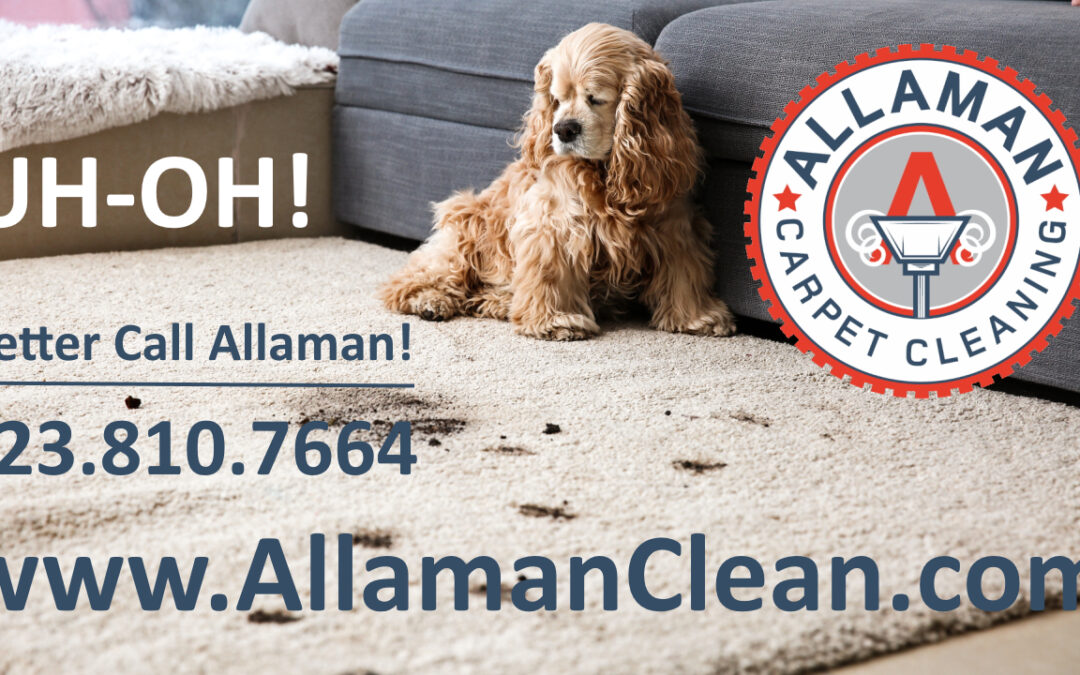 Litchfield Park Arizona Carpet Tile and Upholstery cleaning by Allaman Carpet Cleaning. Removing pet stains and odors from your carpet