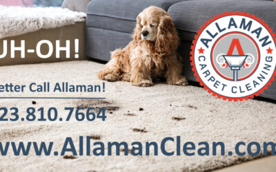 Cleaning Pet Stains and Removing Pet Odors From Your Carpet