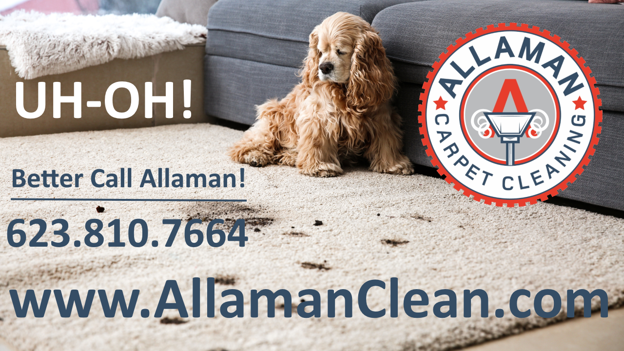Litchfield Park Arizona Carpet Tile and Upholstery cleaning by Allaman Carpet Cleaning. Removing pet stains and odors from your carpet