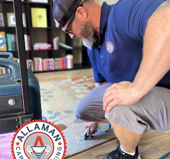 Allaman Carpet Cleaning Rug Cleaning