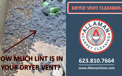 How Much Lint Is In Your Dryer Vent?