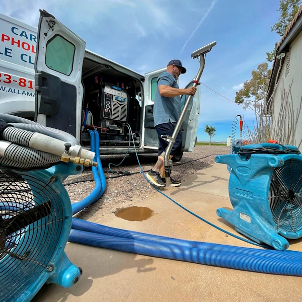 Goodyear, Arizona, carpet, cleaner, cleaning, clean, professional