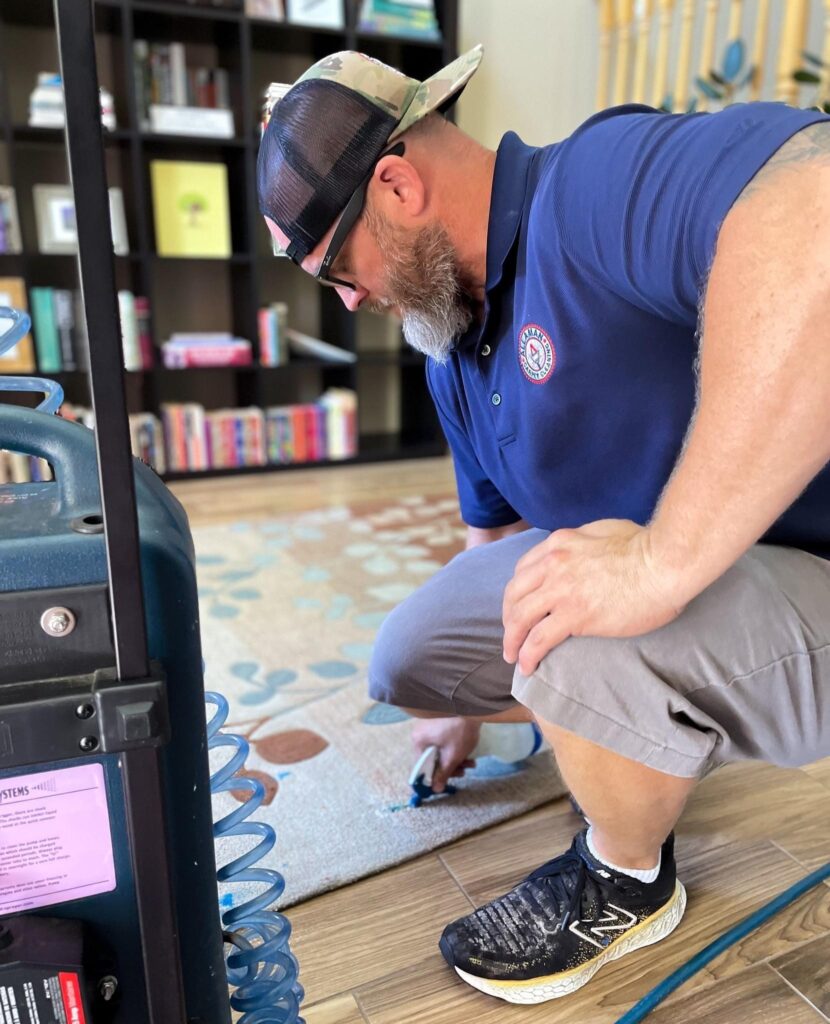 Goodyear, Arizona Carpet Stain Removal, Rug Cleaning