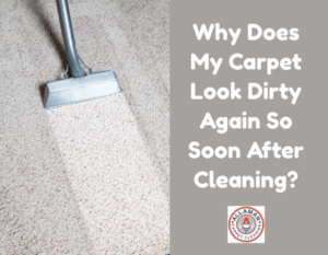Why Does My Carpet Look Dirty Again So Soon After Cleaning?