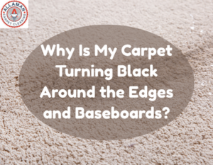 Why Is My Carpet Turning Black Around the Edges and Baseboards?